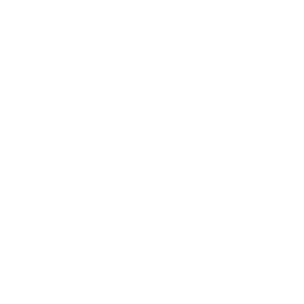Main Logo White